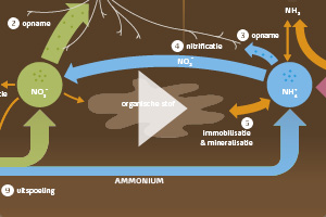 Transformations od fertilizer nitrogen in the soil